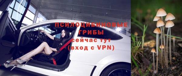 тгк Балахна