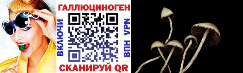 Галлюциногенные грибы GOLDEN TEACHER  Белгород 